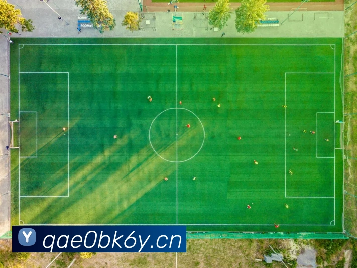 九游j9官方官网品牌故事