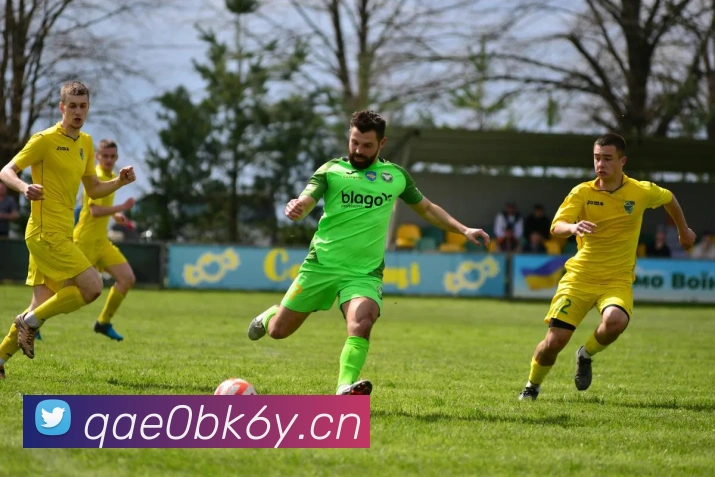 九游j9官方官网服务体系